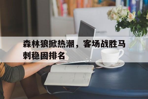 森林狼掀热潮，客场战胜马刺稳固排名